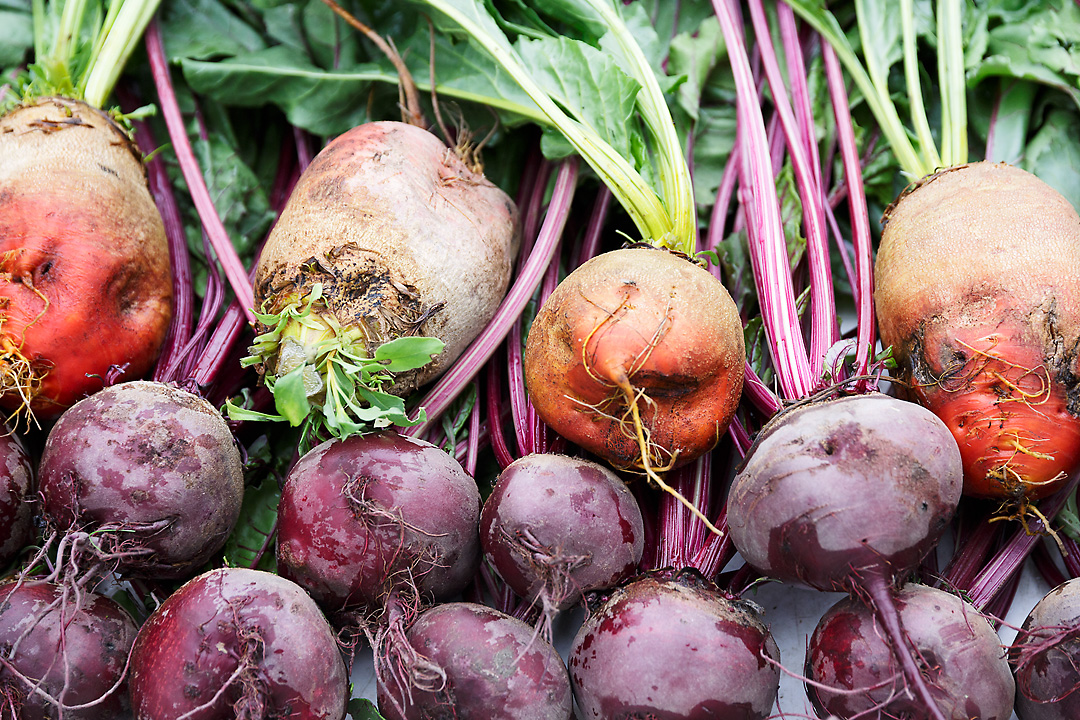 A photography of beets and turnips.