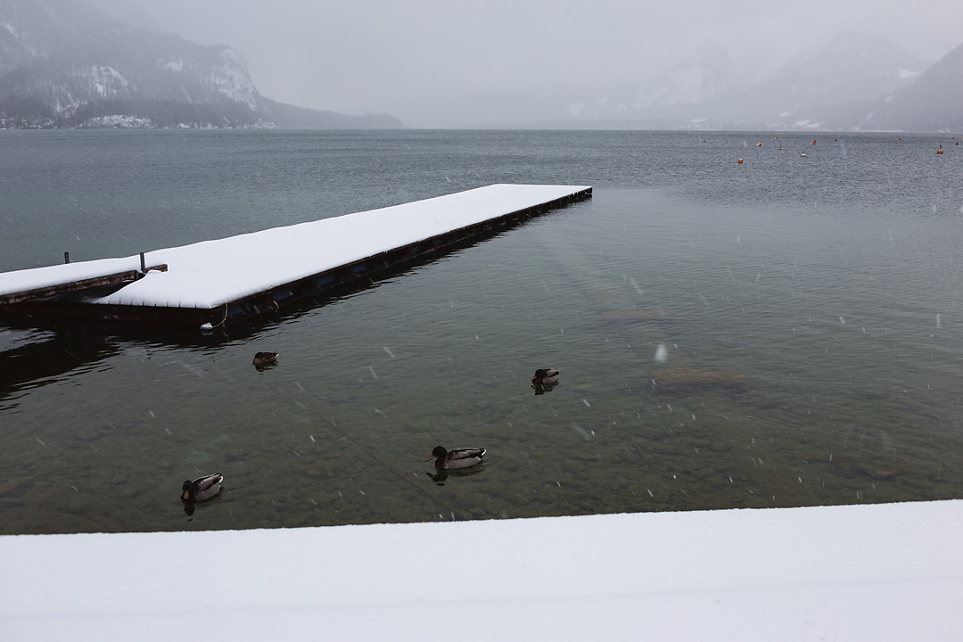 Streetphotography of the Wolfgangsee during winter seen from the shore of Sankt Gilgen. The horizon cuts through in the upper fifth. The background shows mountains on both sides of the lake and a cloudy, dark grey sky. A snow covered pontoon stretches diagonally from middle left to the center. In front of the pontoon ducks swim in the water. The foreground is a small strip of snow.