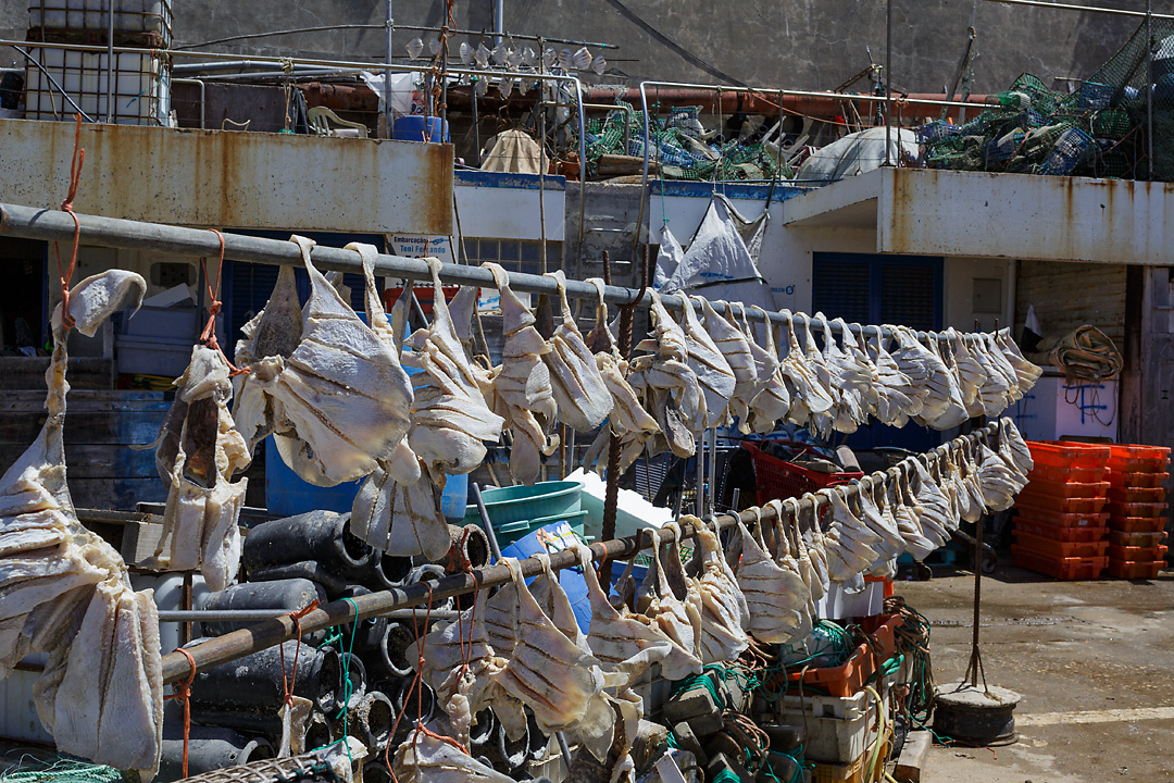 Streetphotography of the fishing harbour of Ericeira, Portugal. Fishmeat hangs to dry.